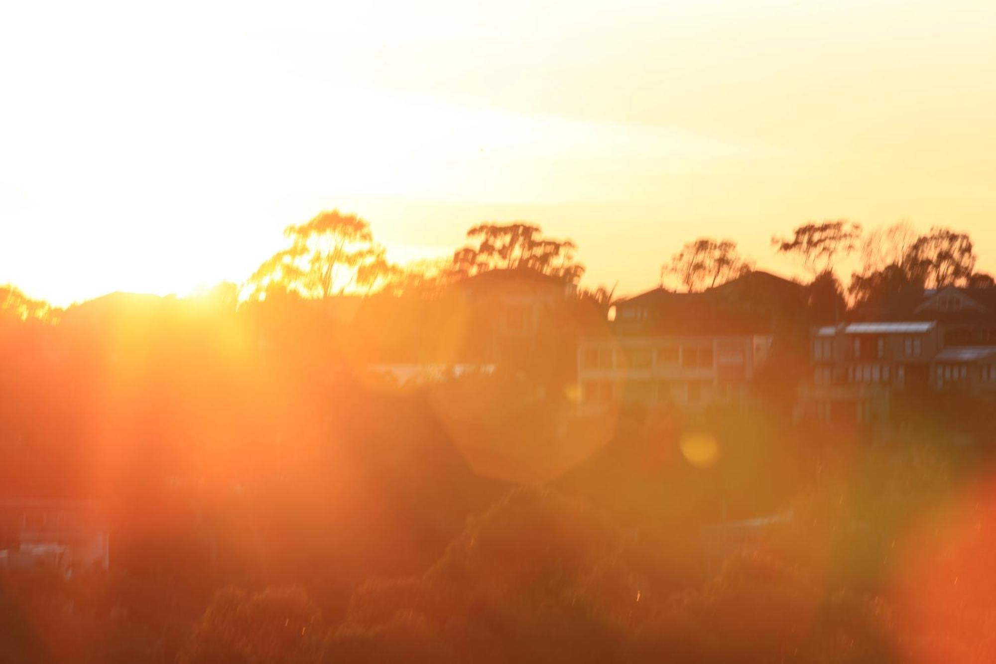 Panorama *